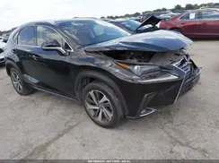JTJYARBZ0K2124306 2019 LEXUS NX