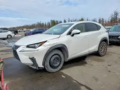 JTJYARBZ0K2156933 2019 LEXUS NX
