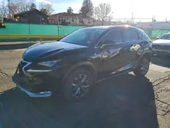 JTJYARBZ1G2031057 2016 LEXUS NX