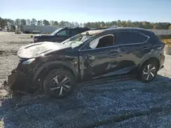 JTJYARBZ1J2095039 2018 LEXUS NX