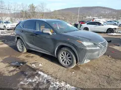 JTJYARBZ1K2117011 2019 LEXUS NX