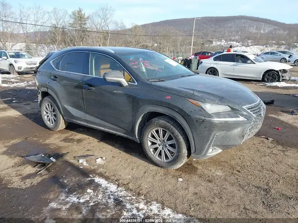 JTJYARBZ1K2117011 2019 LEXUS NX - Image 1