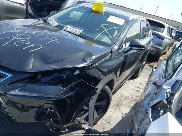 JTJYARBZ1K2117588 2019 LEXUS NX - Image 2