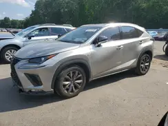 JTJYARBZ1K2127442 2019 LEXUS NX
