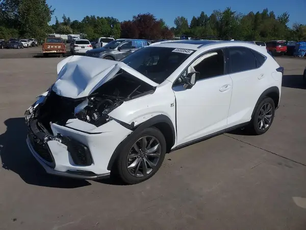 JTJYARBZ1K2133211 2019 LEXUS NX - Image 1