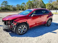 JTJYARBZ1K2154897 2019 LEXUS NX