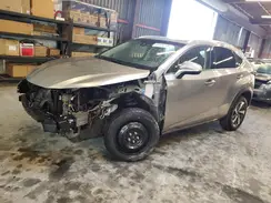 JTJYARBZ1K2157606 2019 LEXUS NX