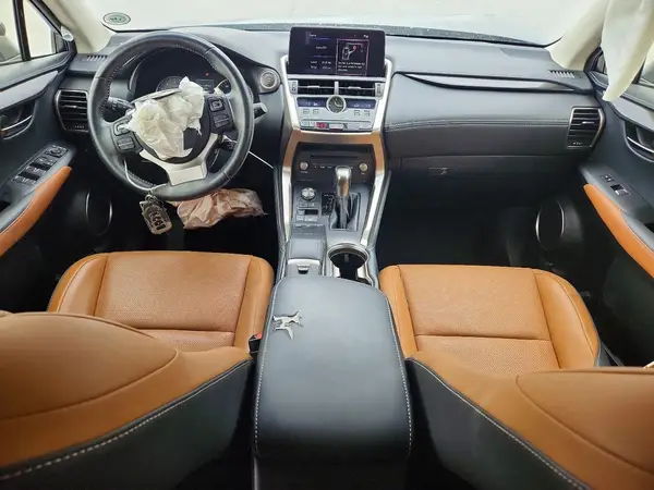 JTJYARBZ2K2120998 2019 LEXUS NX - Image 8