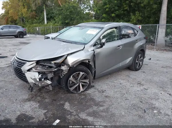 JTJYARBZ2K2134934 2019 LEXUS NX - Image 2