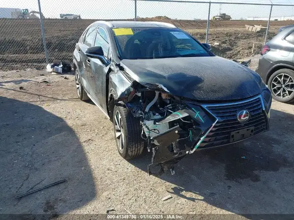 JTJYARBZ2K2134948 2019 LEXUS NX - Image 1