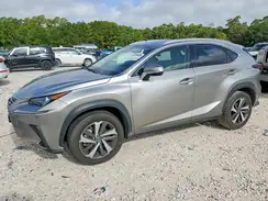 JTJYARBZ2K2137753 2019 LEXUS NX