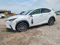 JTJYARBZ2K2141558 2019 LEXUS NX