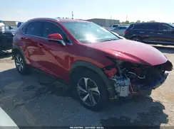 JTJYARBZ2K2149367 2019 LEXUS NX