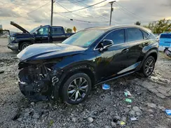 JTJYARBZ2K2149742 2019 LEXUS NX