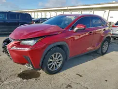 JTJYARBZ3K2119830 2019 LEXUS NX