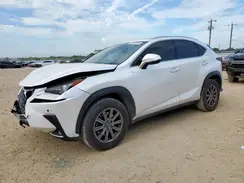 JTJYARBZ3K2136238 2019 LEXUS NX