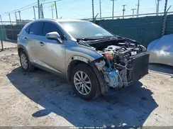 JTJYARBZ3K2150169 2019 LEXUS NX