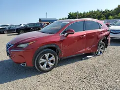 JTJYARBZ4H2070629 2017 LEXUS NX