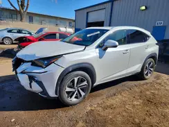 JTJYARBZ4K2117181 2019 LEXUS NX