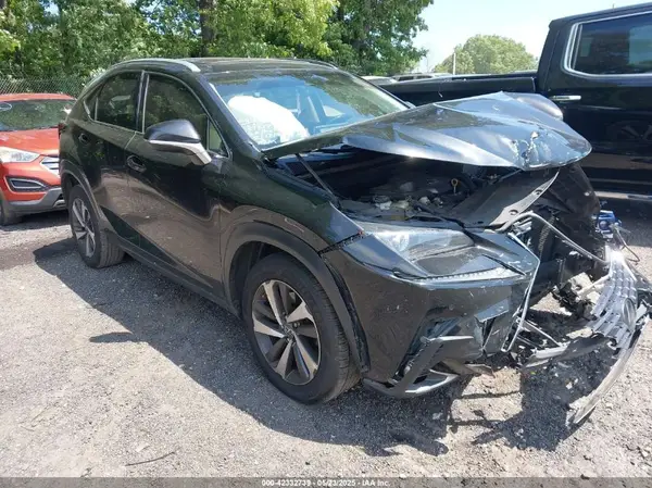JTJYARBZ4K2124003 2019 LEXUS NX - Image 1