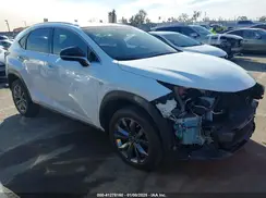 JTJYARBZ4K2145174 2019 LEXUS NX