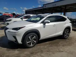 JTJYARBZ4K2147362 2019 LEXUS NX