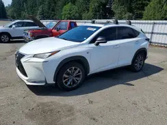 JTJYARBZ5G2029831 2016 LEXUS NX