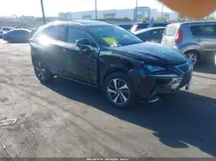 JTJYARBZ5K2121613 2019 LEXUS NX