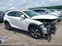 JTJYARBZ5K2127069 2019 LEXUS NX