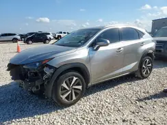 JTJYARBZ5K2156555 2019 LEXUS NX