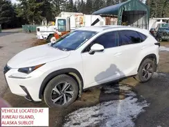 JTJYARBZ6J2104303 2018 LEXUS NX