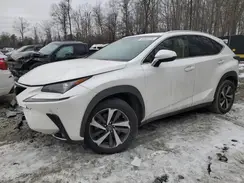 JTJYARBZ6K2135391 2019 LEXUS NX