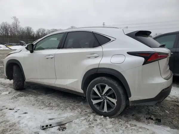 JTJYARBZ6K2135391 2019 LEXUS NX - Image 2