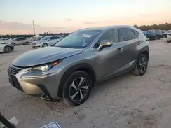 JTJYARBZ6K2144396 2019 LEXUS NX