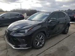 JTJYARBZ6K2145029 2019 LEXUS NX