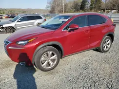 JTJYARBZ7H2057700 2017 LEXUS NX