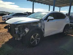 JTJYARBZ7K2117028 2019 LEXUS NX