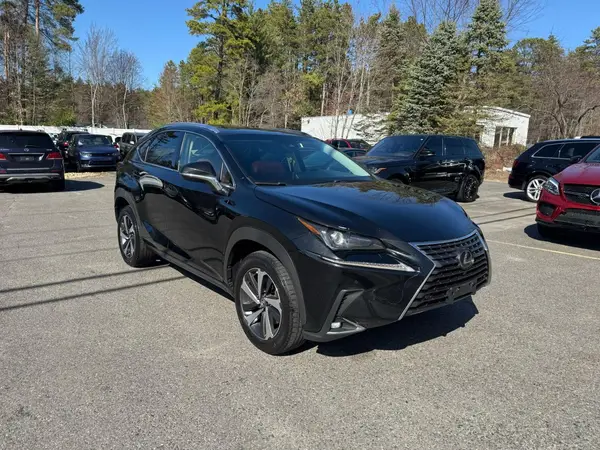 JTJYARBZ7K2119474 2019 LEXUS NX - Image 2