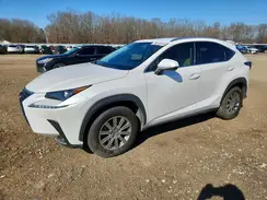 JTJYARBZ7K2125453 2019 LEXUS NX