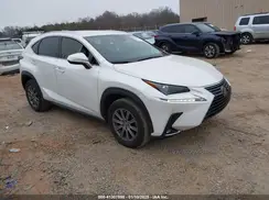JTJYARBZ7K2131169 2019 LEXUS NX