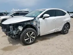 JTJYARBZ7K2132659 2019 LEXUS NX