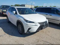 JTJYARBZ7K2133388 2019 LEXUS NX
