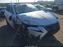 JTJYARBZ8K2135876 2019 LEXUS NX