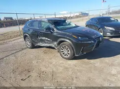 JTJYARBZ8K2141712 2019 LEXUS NX