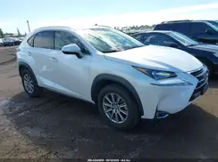 JTJYARBZ9H2067631 2017 LEXUS NX