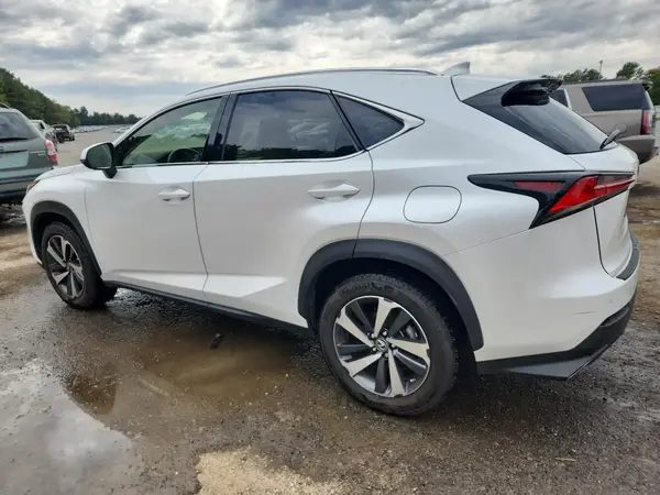 JTJYARBZ9K2128192 2019 LEXUS NX - Image 2