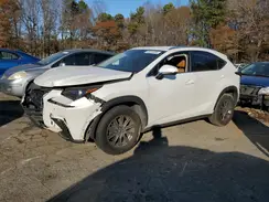 JTJYARBZ9K2142206 2019 LEXUS NX