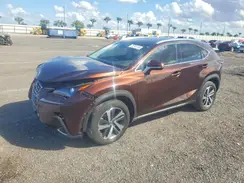 JTJYARBZ9K2143260 2019 LEXUS NX