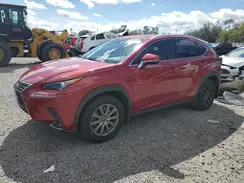 JTJYARBZ9K2146661 2019 LEXUS NX