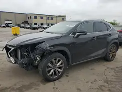 JTJYARBZXH2055844 2017 LEXUS NX